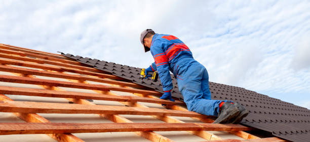 Best Solar Panel Roofing Installation  in Prosper, TX
