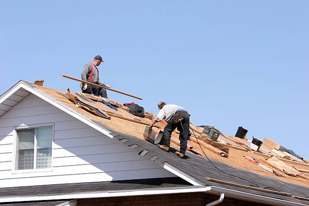 Professional  Roofing repair and installation in Prosper, TX